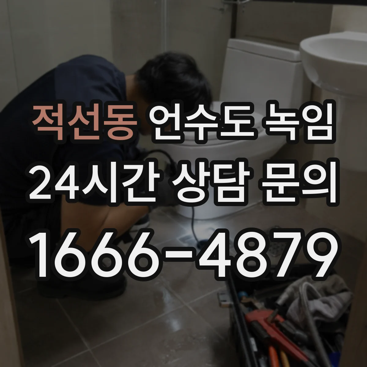 적선동 언수도 녹임