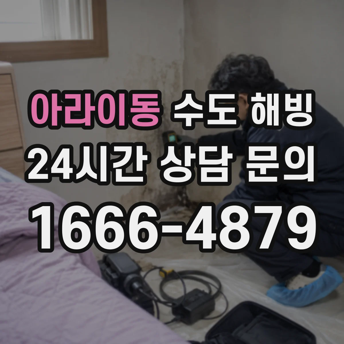 아라이동 수도 해빙