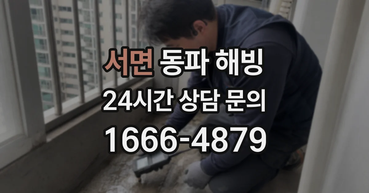 서면 동파 해빙