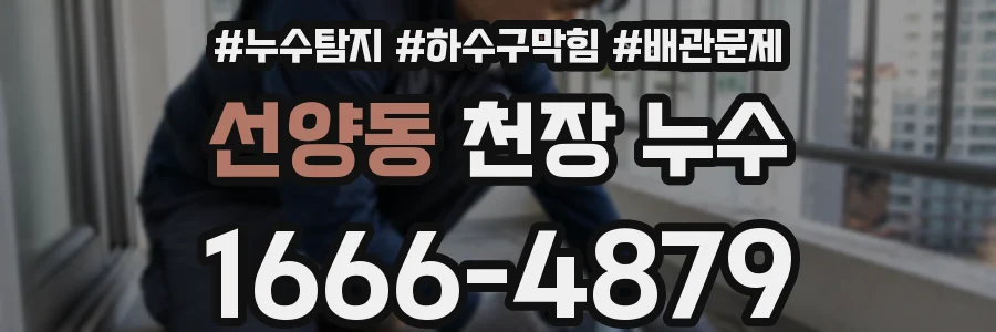 선양동 천장 누수