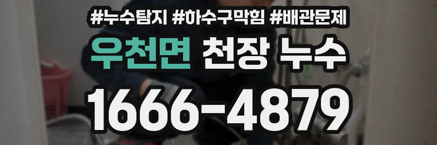 우천면 천장 누수
