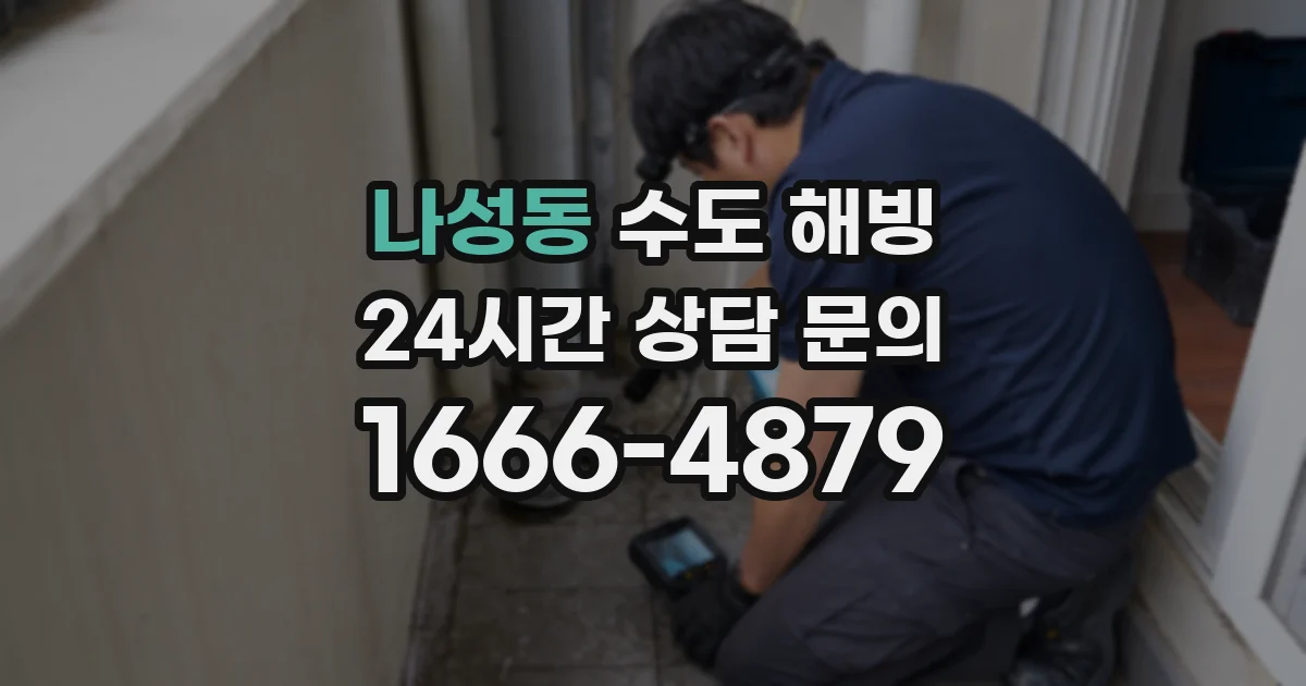 나성동 수도 해빙