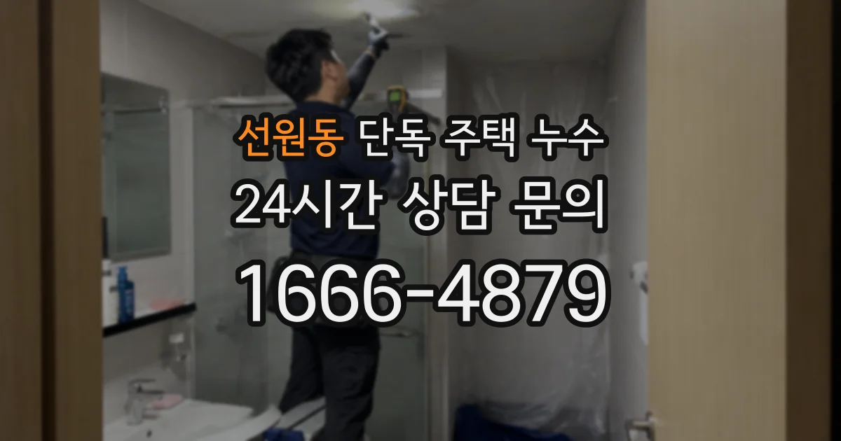 선원동 단독 주택 누수