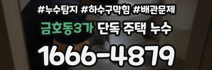 금호동3가 단독 주택 누수