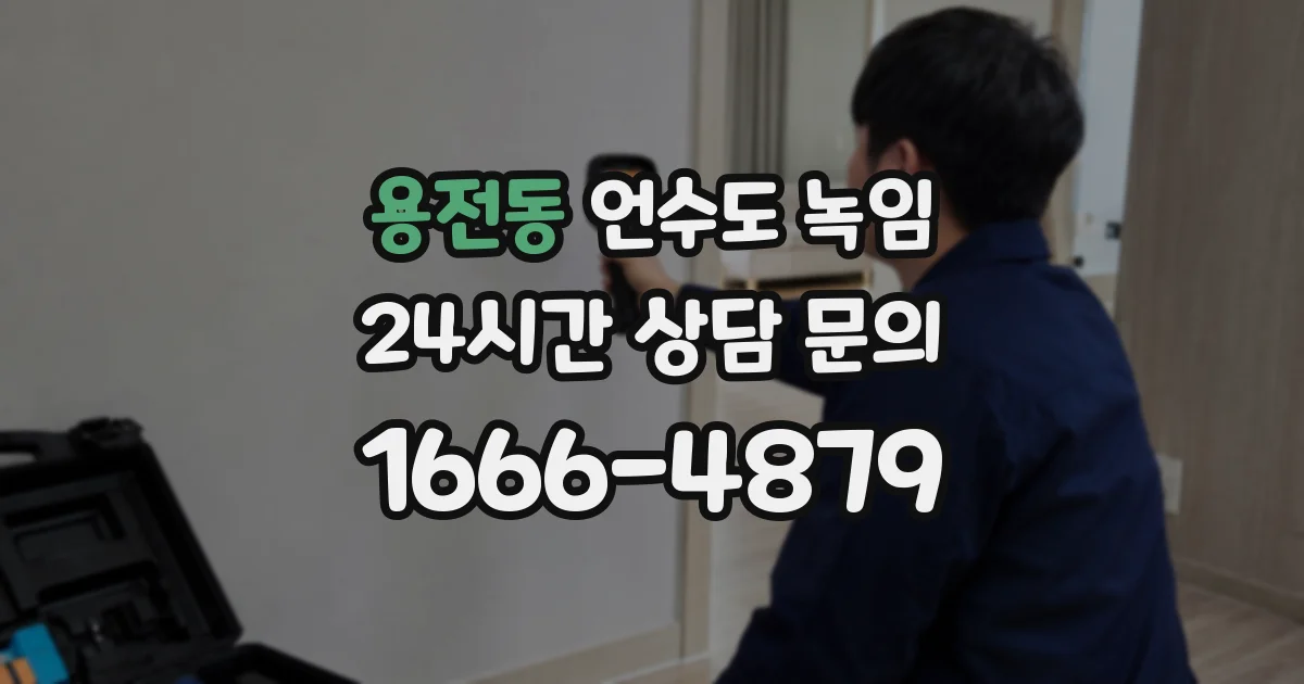 용전동 언수도 녹임
