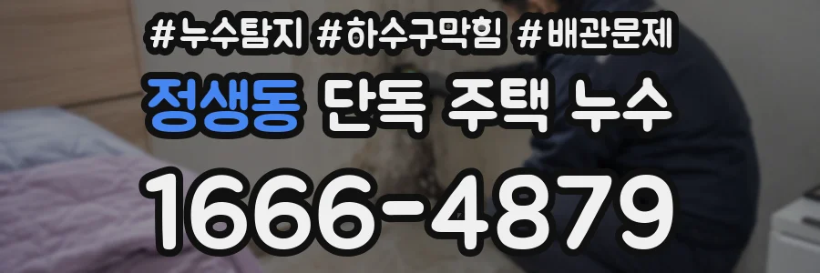 정생동 단독 주택 누수