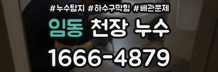 임동 천장 누수