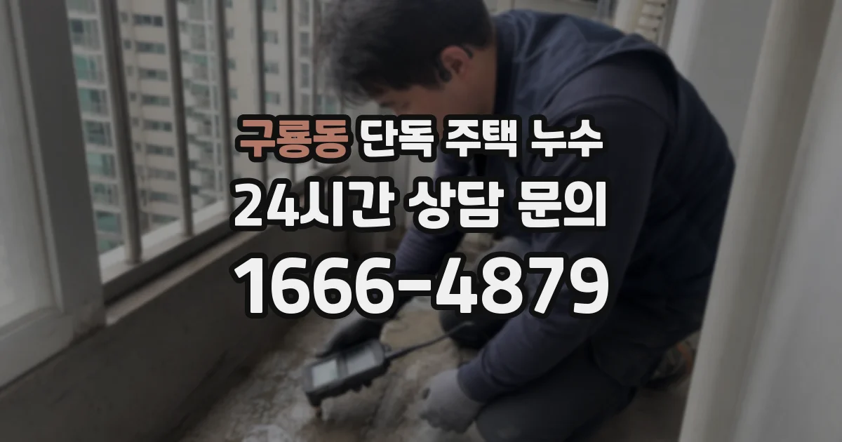 구룡동 단독 주택 누수