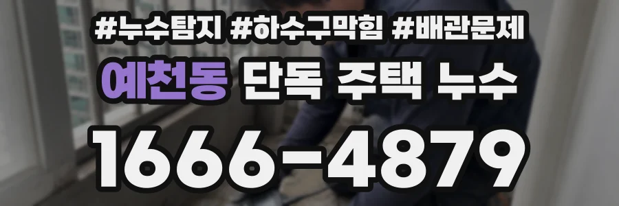 예천동 단독 주택 누수