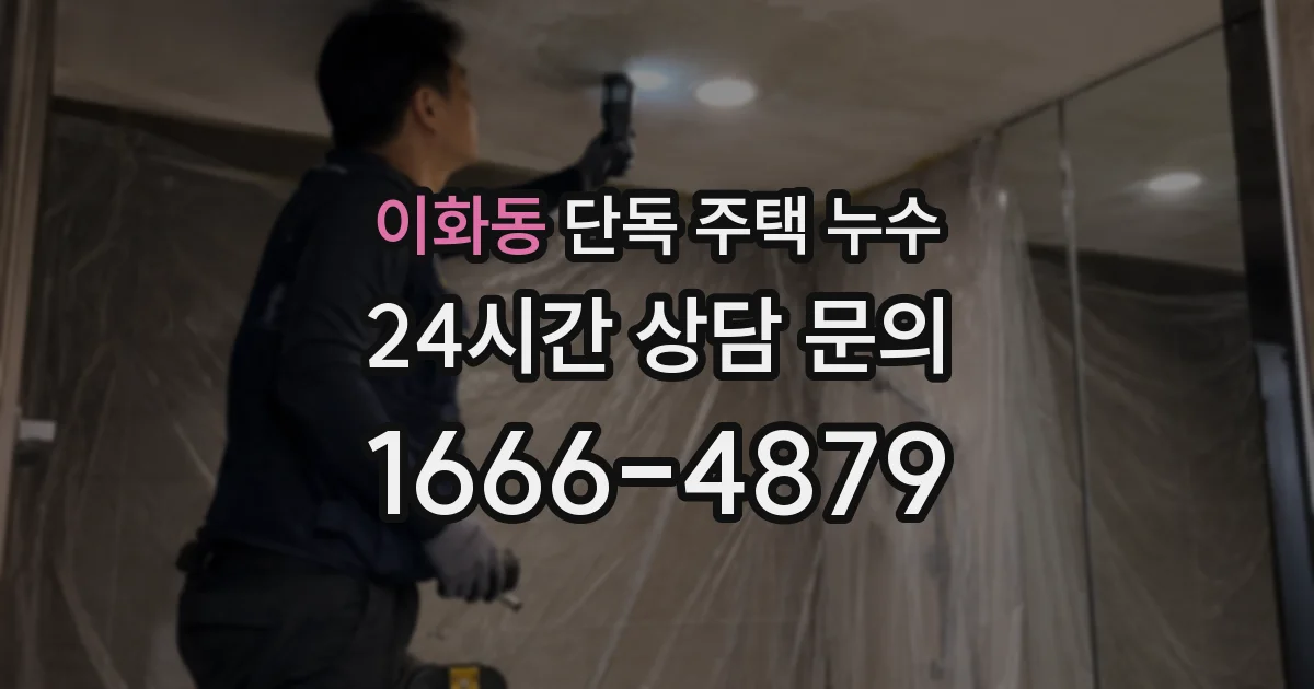 이화동 단독 주택 누수