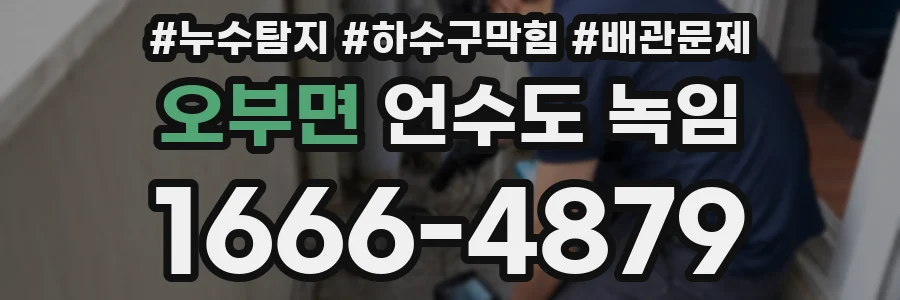 오부면 언수도 녹임