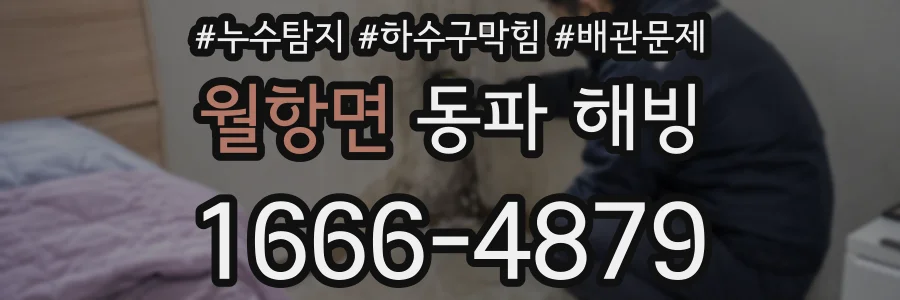 월항면 동파 해빙