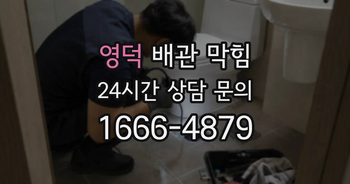 영덕 배관 막힘