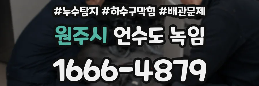원주시 언수도 녹임