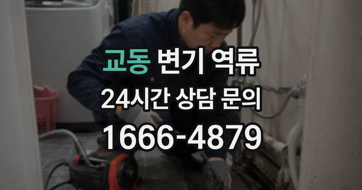 교동 변기 역류