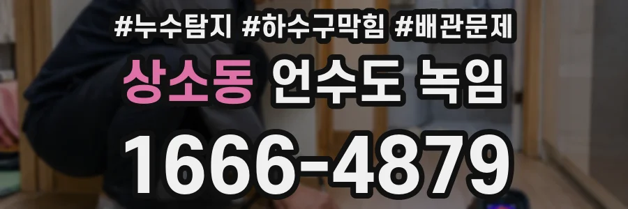 상소동 언수도 녹임