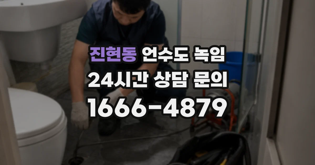 진현동 언수도 녹임