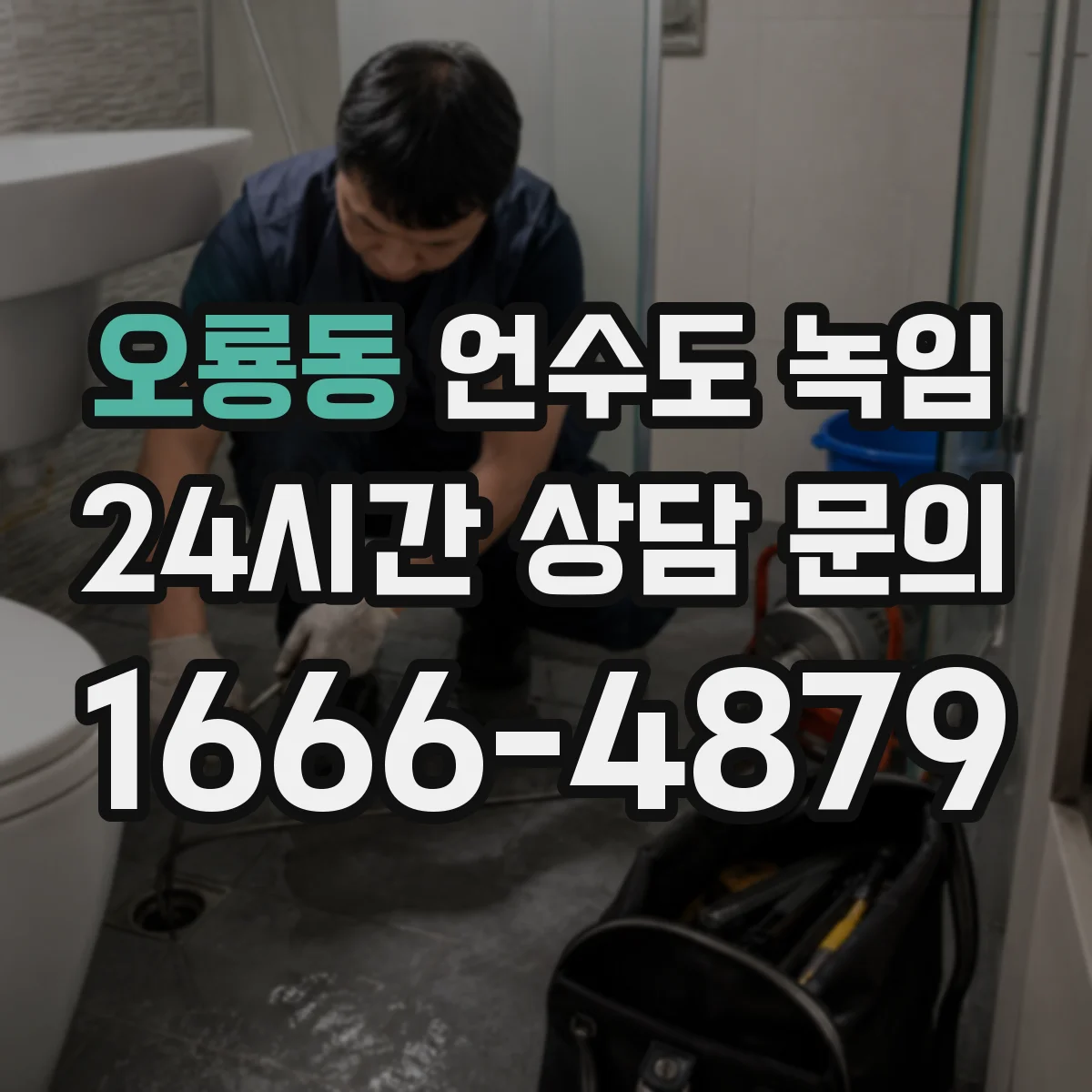 오룡동 언수도 녹임