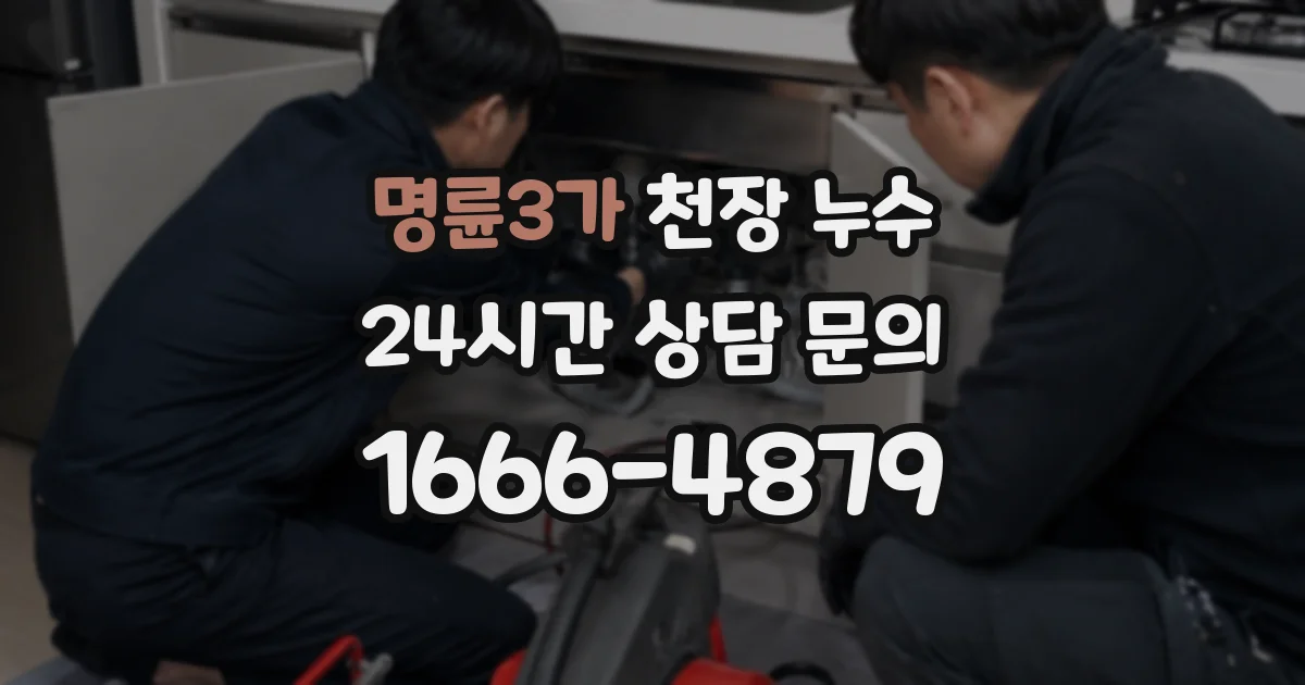 명륜3가 천장 누수
