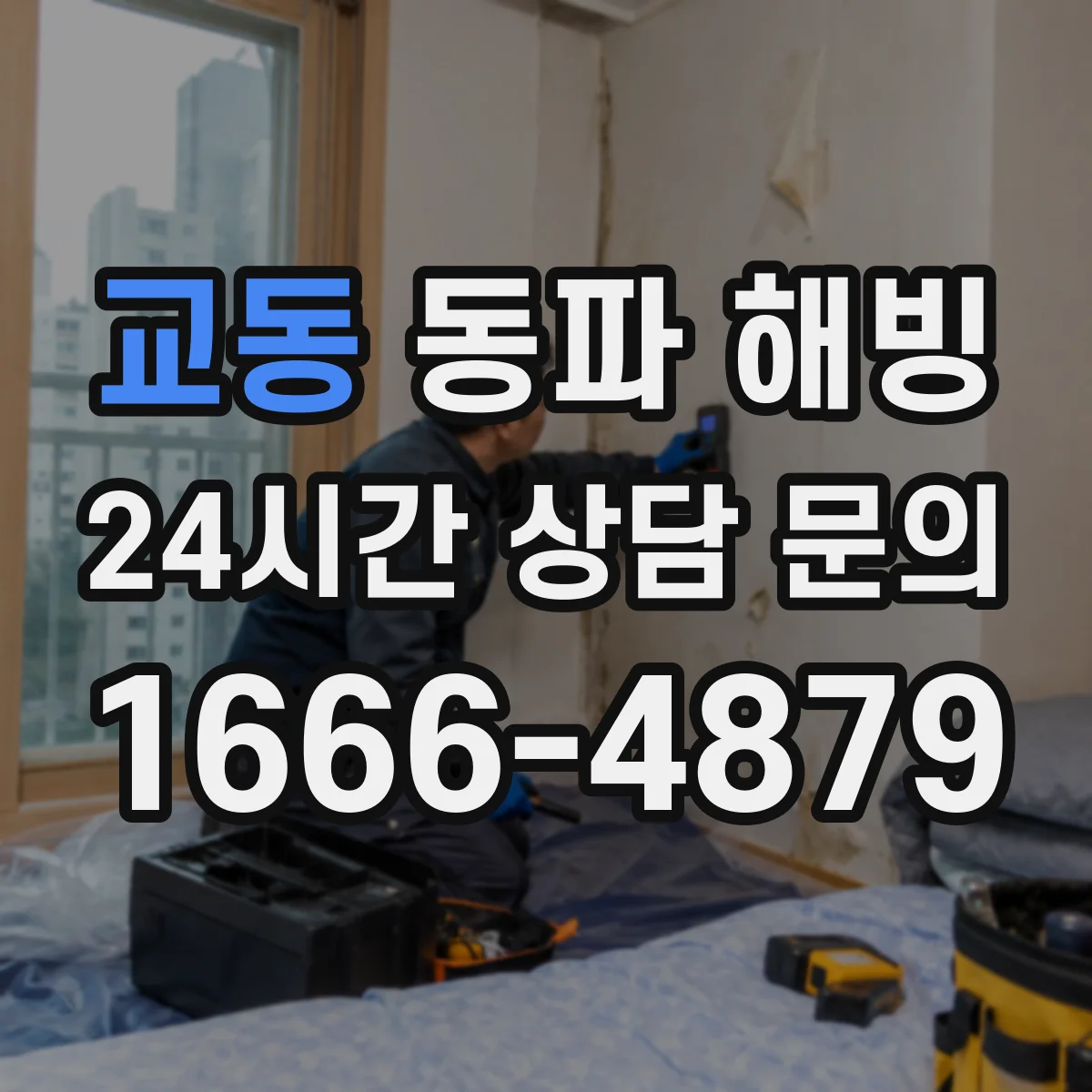 교동 동파 해빙