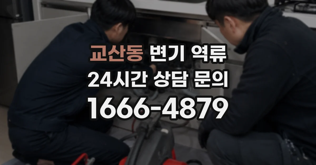 교산동 변기 역류