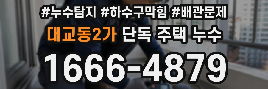 대교동2가 단독 주택 누수