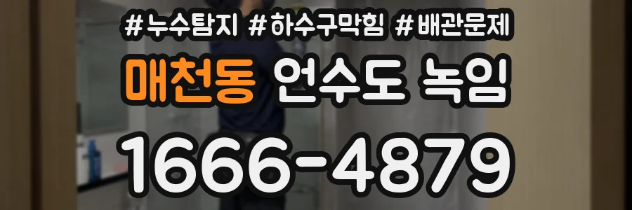 매천동 언수도 녹임
