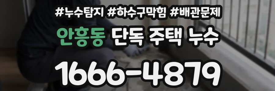안흥동 단독 주택 누수
