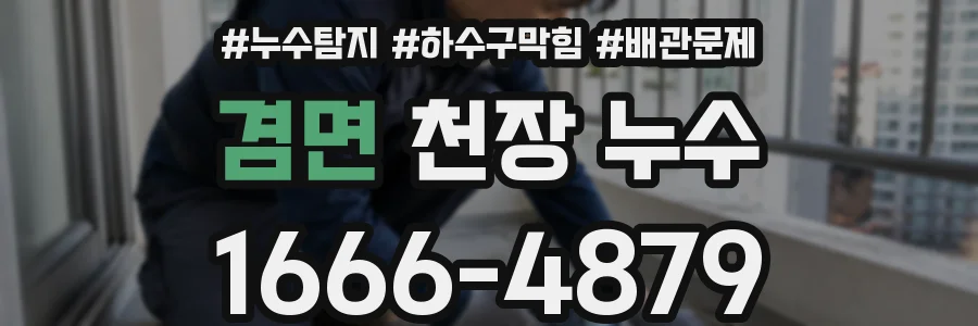 겸면 천장 누수