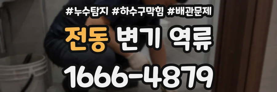 전동 변기 역류