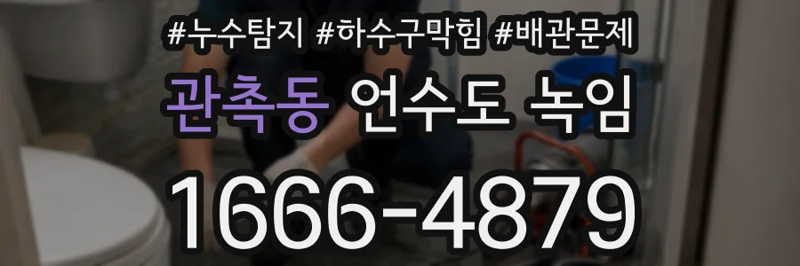 관촉동 언수도 녹임