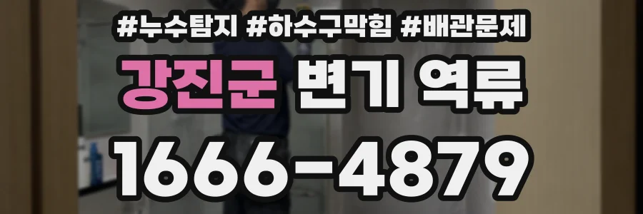 강진군 변기 역류