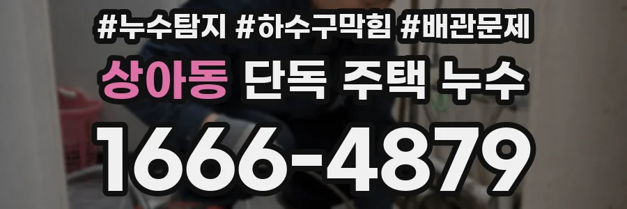 상아동 단독 주택 누수