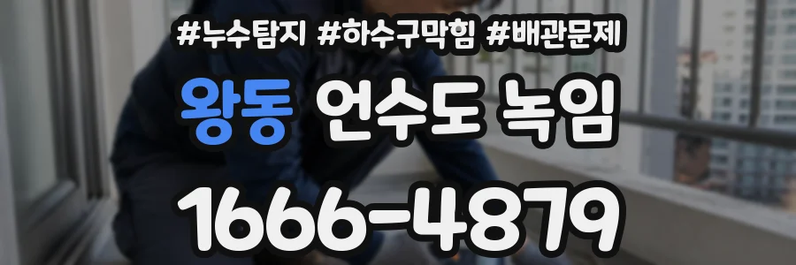 왕동 언수도 녹임