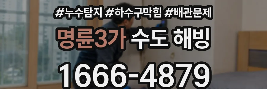 명륜3가 수도 해빙
