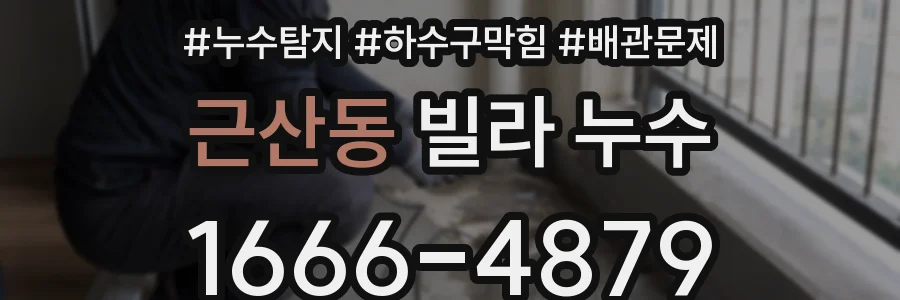 근산동 빌라 누수