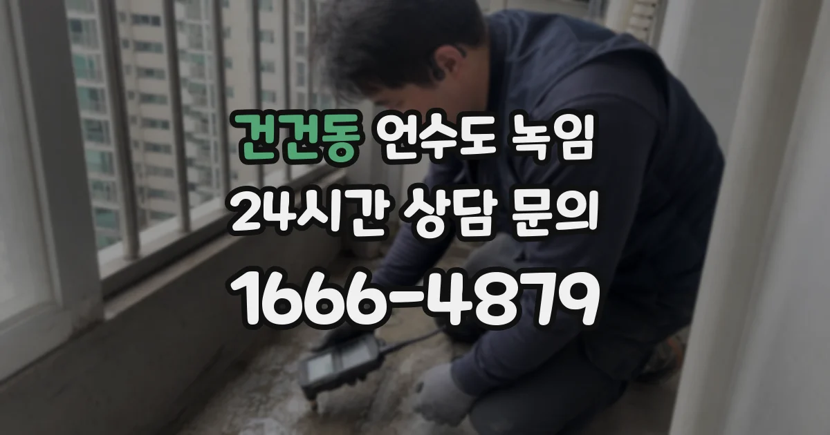 건건동 언수도 녹임