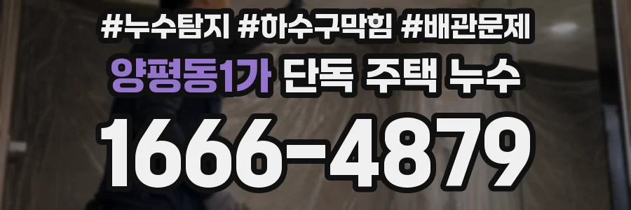 양평동1가 단독 주택 누수