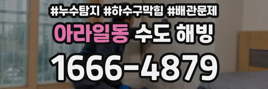 아라일동 수도 해빙