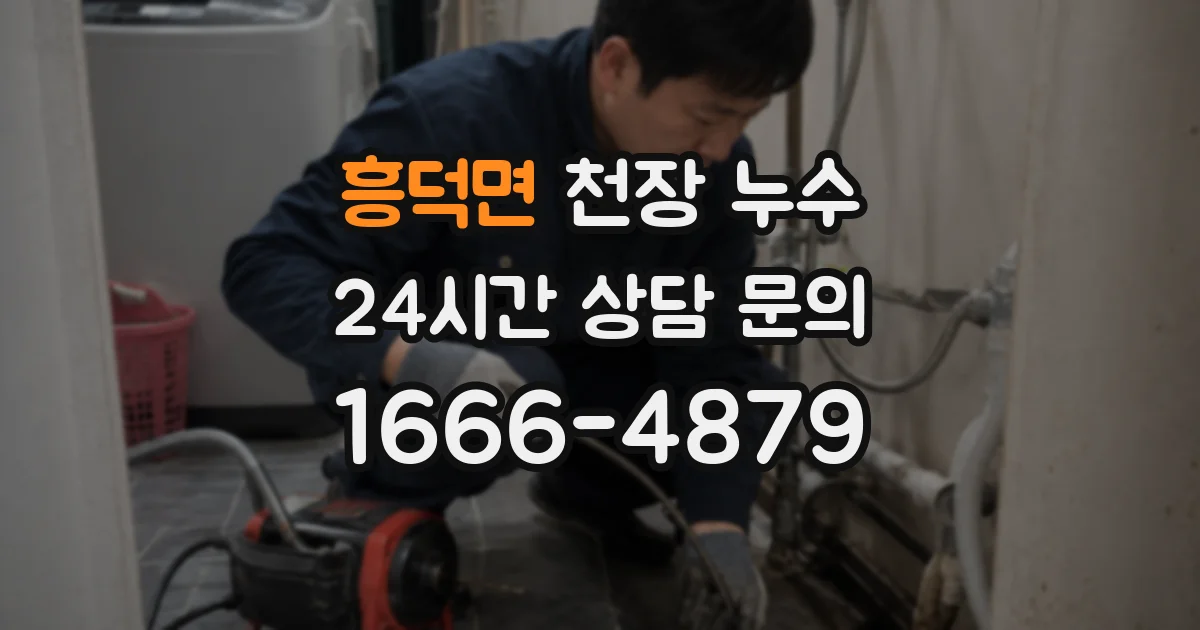 흥덕면 천장 누수