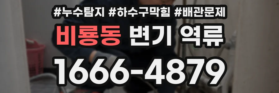 비룡동 변기 역류