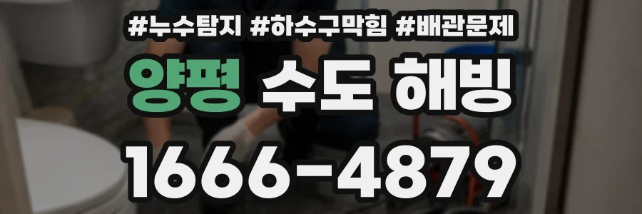 양평 수도 해빙