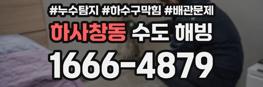 하사창동 수도 해빙