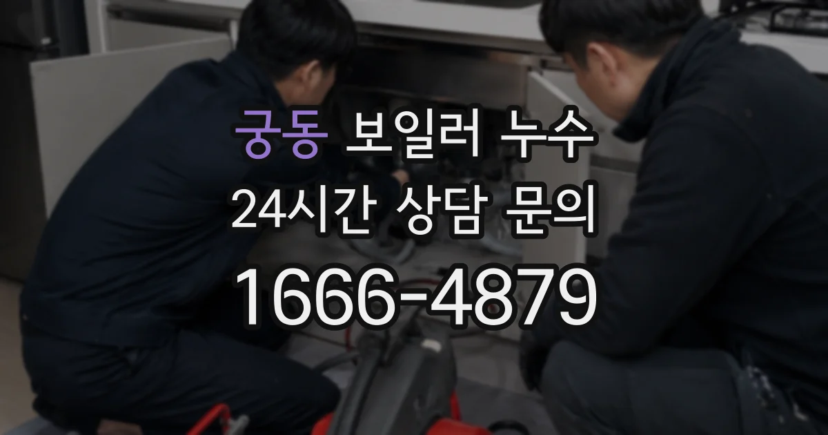 궁동 보일러 누수