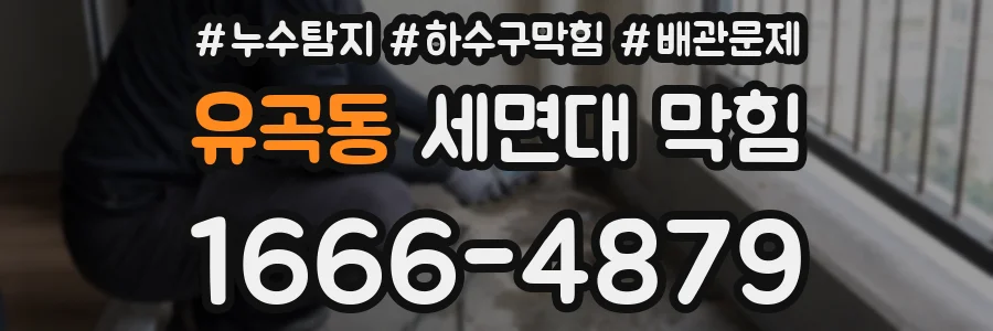 유곡동 세면대 막힘
