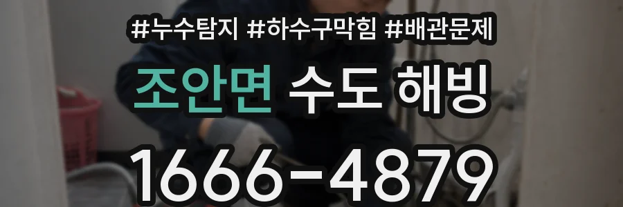 조안면 수도 해빙