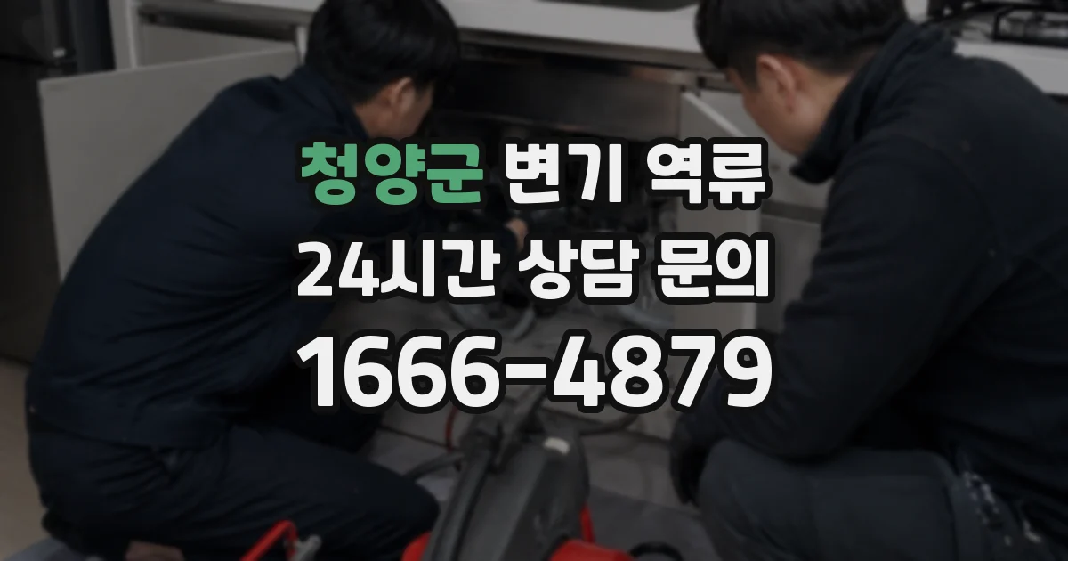 청양군 변기 역류