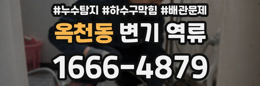 옥천동 변기 역류
