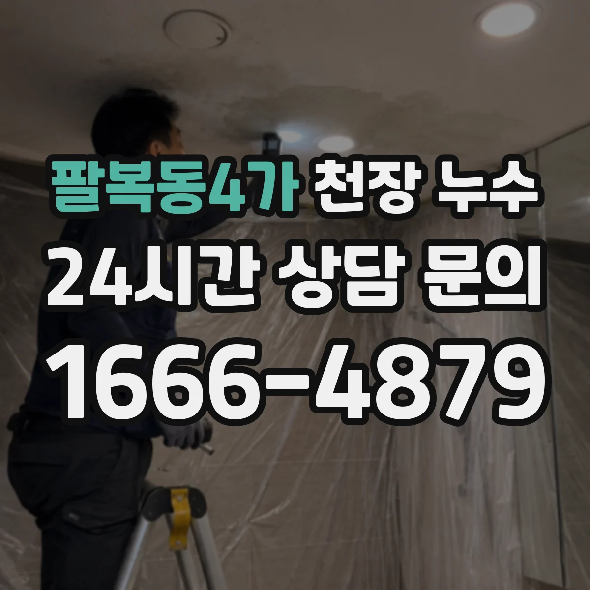 팔복동4가 천장 누수