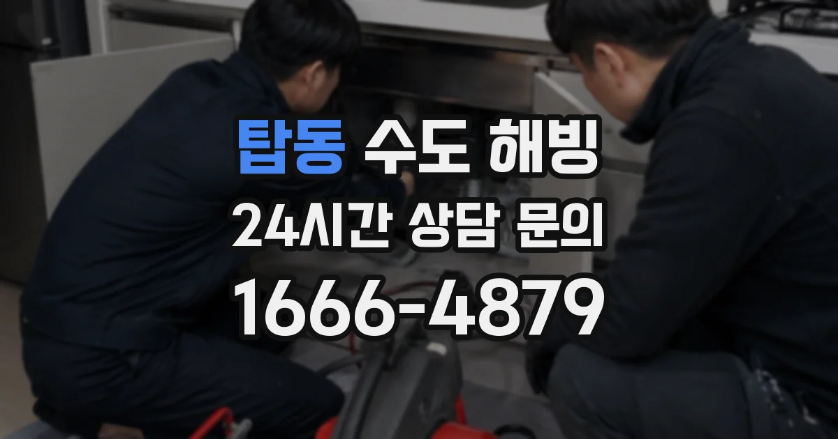 탑동 수도 해빙
